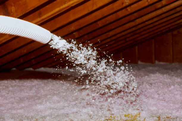 Best Eco-Friendly Insulation in West Valley City, UT
