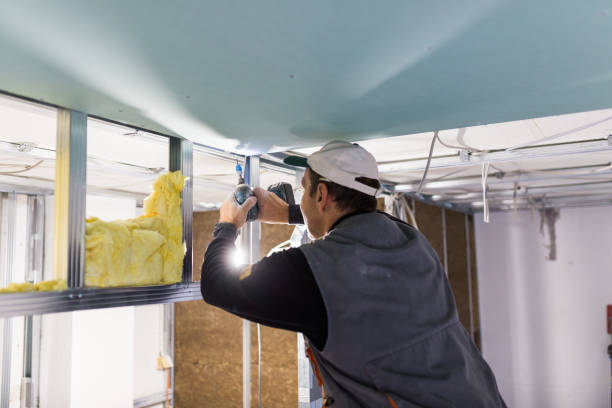 Best Cellulose Insulation in West Valley City, UT